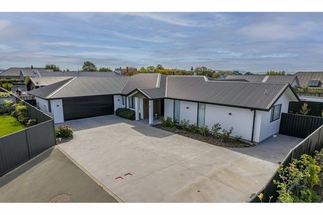 Photo of property in 30b Seddon Street, Highfield, Timaru, 7910