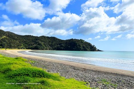 Photo of property in 24 Adlor Hill Road, Port Charles, Coromandel, 3584