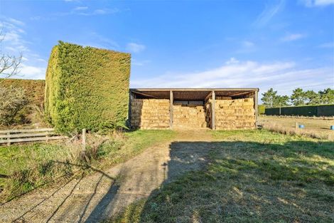 Photo of property in 601 Ridge Road, Motukarara, Christchurch, 7672