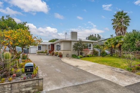 Photo of property in 36 Southwark Avenue, Tamatea, Napier, 4112