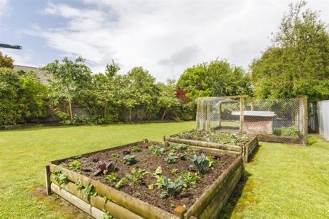 Photo of property in 260 Cambridge Avenue, Ashhurst, 4810