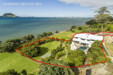 Photo of property in 19b Pah Street, Matua, Tauranga, 3110