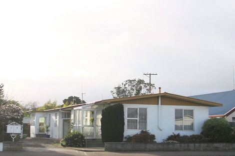 Photo of property in 119 Albert Street, Terrace End, Palmerston North, 4410