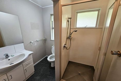 Photo of property in 52 Vine Avenue, Maungatapu, Tauranga, 3112