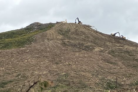 Photo of property in 670 Bickerstaffe Road, Maungaturoto, 0587