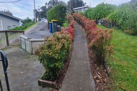 Photo of property in 44 Exmouth Road, Northcote, Auckland, 0627