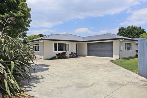 Photo of property in 804a Lawrence Street, Akina, Hastings, 4122