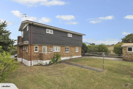 Photo of property in 19 Spring Street, Papatoetoe, Auckland, 2025