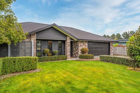 Photo of property in 13 Gimson Street, Solway, Masterton, 5810