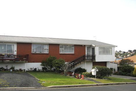 Photo of property in 12 Chapel Street, Kaikorai, Dunedin, 9010