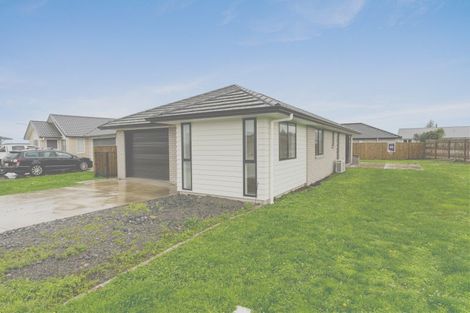 Photo of property in 68 Hinemoa Street, Levin, 5510