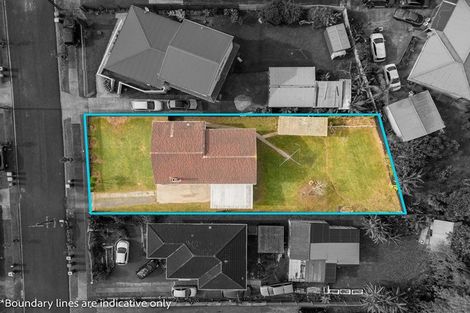 Photo of property in 17 Kudu Road, Otara, Auckland, 2023