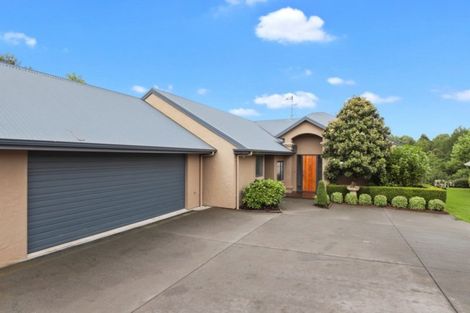 Photo of property in 12 Oak Street, Morrinsville, 3300