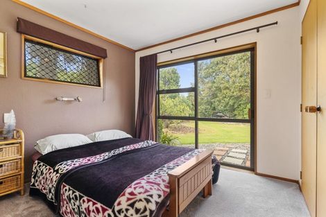 Photo of property in 311 Pahoia Road, Whakamarama, Tauranga, 3172