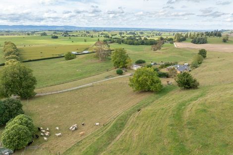 Photo of property in 178b Pond Road, Matamata, 3472