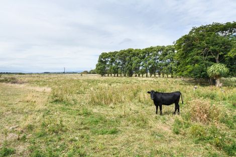 Photo of property in 1216 Rangiotu Road, Tiakitahuna, Palmerston North, 4477
