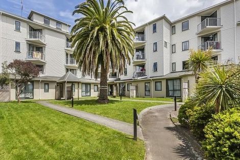 Photo of property in Palm Grove Apartments, 12/13c Palm Grove, Berhampore, Wellington, 6023