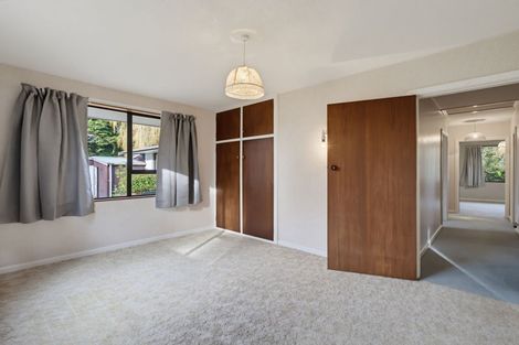 Photo of property in 116 Birch Hill Road, Okuku, 7473