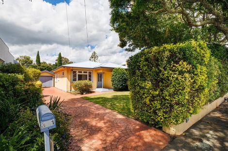 Photo of property in 311 Ruahine Street, Terrace End, Palmerston North, 4410