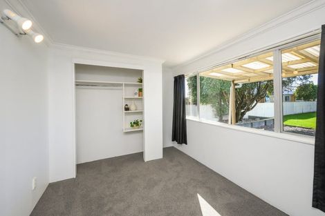 Photo of property in 33 Manchester Street, Takaro, Palmerston North, 4412