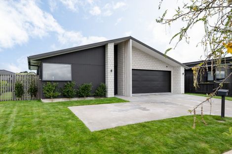 Photo of property in 10 Rangawhenua Street, Ngaruawahia, Hamilton, 3288