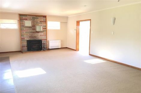 Photo of property in 215 Kahikatea Flat Road, Dairy Flat, Albany, 0794