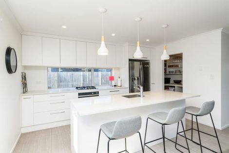 Photo of property in 98 Ferguson Street, West End, Palmerston North, 4412