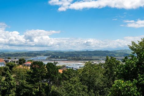 Photo of property in 2 Coleman Terrace, Hospital Hill, Napier, 4110