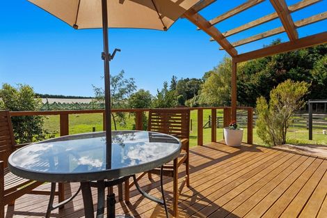 Photo of property in 499a White Pine Bush Road, White Pine Bush, Whakatane, 3192