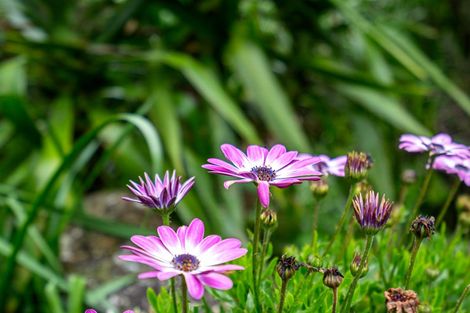 Photo of property in 211 Gray Road, Te Kamo, Kamo, 0185