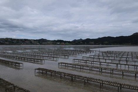 Photo of property in 50 Kiteone Road, Parua Bay, Whangarei, 0174