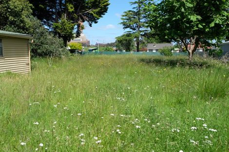 Photo of property in 161a Hakanoa Street, Huntly, 3700