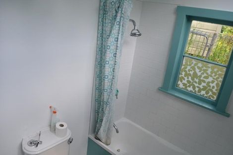 Photo of property in 113 Holloway Road, Aro Valley, Wellington, 6021