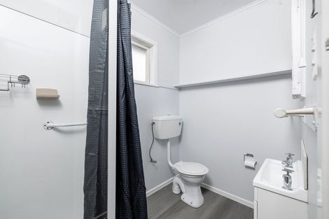 Photo of property in 21a Wallace Street, Featherston, 5710