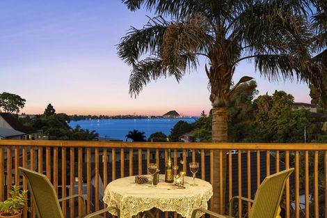 Photo of property in 202 Maungatapu Road, Maungatapu, Tauranga, 3112