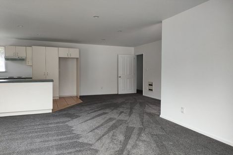 Photo of property in 57a Opawa Road, Waltham, Christchurch, 8023