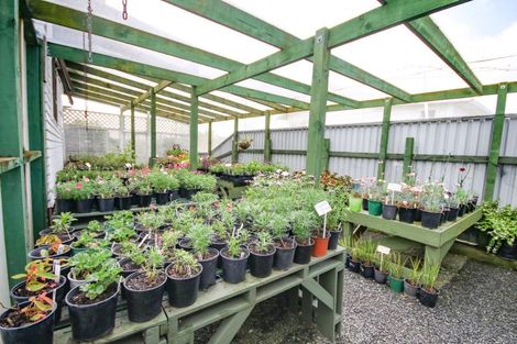 Photo of property in 13 Jellicoe Road, Ruawai, 0530