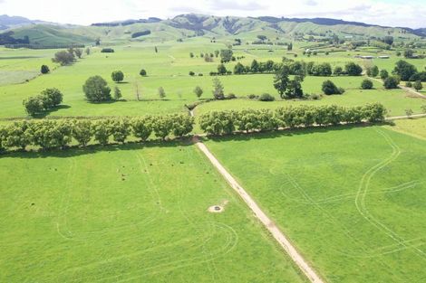 Photo of property in 231 Grice Road, Rotoorangi, Cambridge, 3495