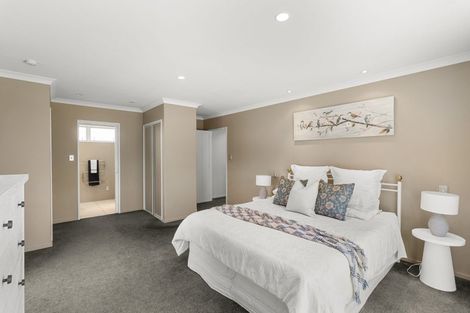 Photo of property in 17 Longspur Avenue, Wigram, Christchurch, 8025