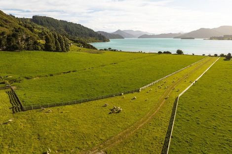 Photo of property in 5564 Kenepuru Road, Waitaria Bay, Picton, 7282