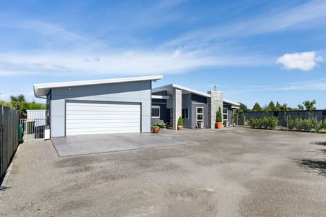 Photo of property in 21 Okarito Avenue, Levin, 5510