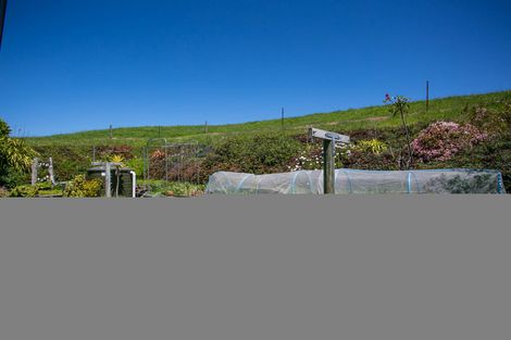 Photo of property in 1/407 Sainsbury Road, Pirongia, Te Awamutu, 3876