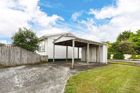 Photo of property in 60 Kingdale Road, Henderson, Auckland, 0610