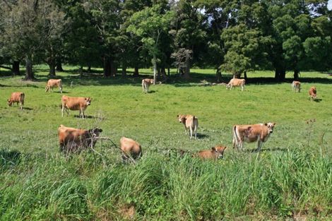 Photo of property in 641 Opouri Road, Rai Valley, 7194