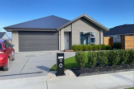 Photo of property in 12 Oakdale Grove, Richmond, 7020