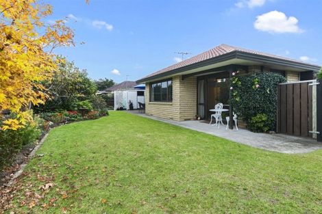 Photo of property in 111a Chapel Street, Otumoetai, Tauranga, 3110