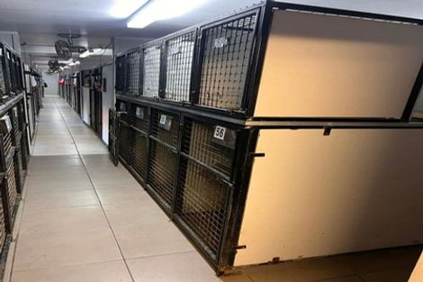 Photo of property in 140 Mako Mako Road, Levin, 5510