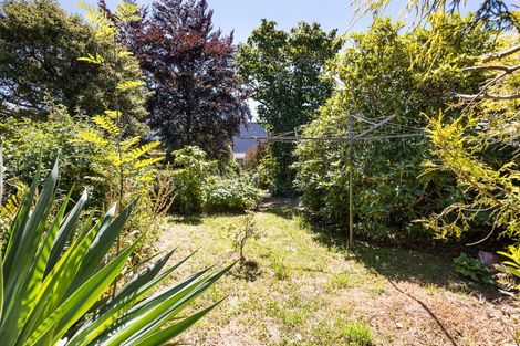 Photo of property in 709 Highgate, Maori Hill, Dunedin, 9010