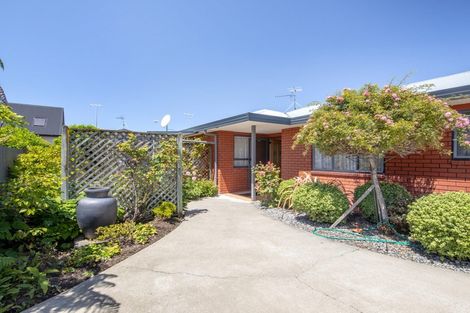 Photo of property in 87a Scott Street, Blenheim, 7201