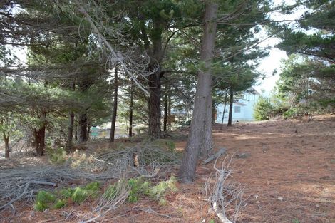 Photo of property in 56 Ohau Drive, Lake Ohau, Twizel, 9412